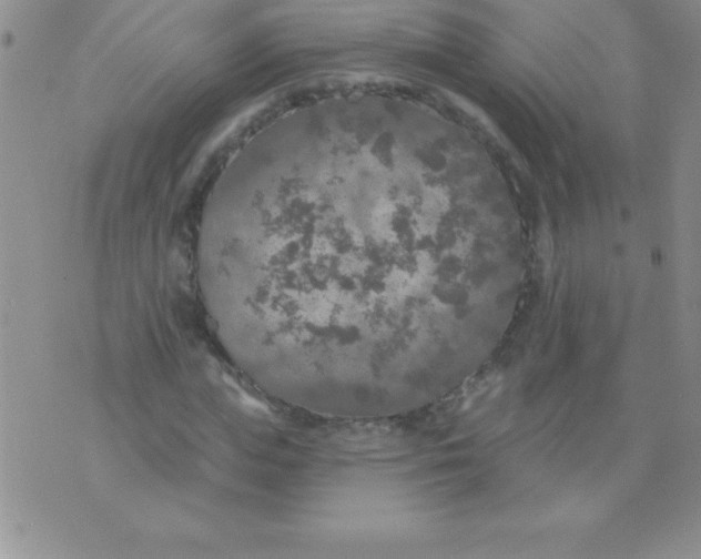 X0000071960823200607282031