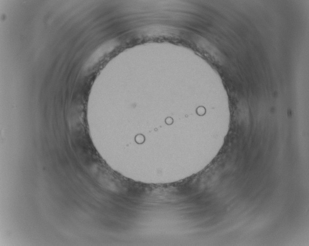 X0000071960824200607282031