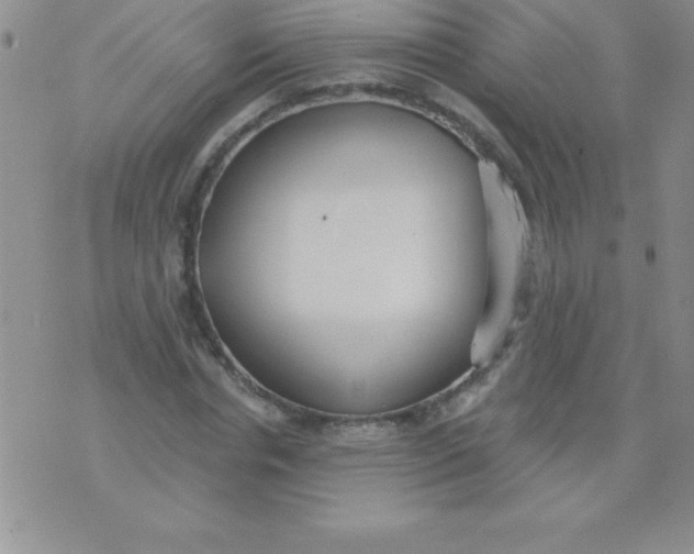 X0000071960826200607282031