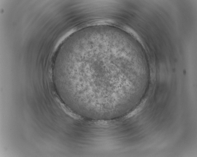 X0000071960827200607282031