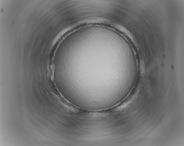 X0000071960829200607282031