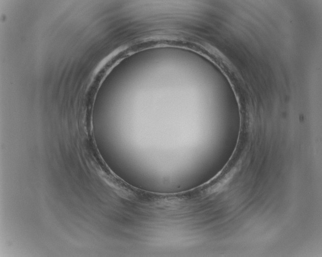 X0000071960830200607282031