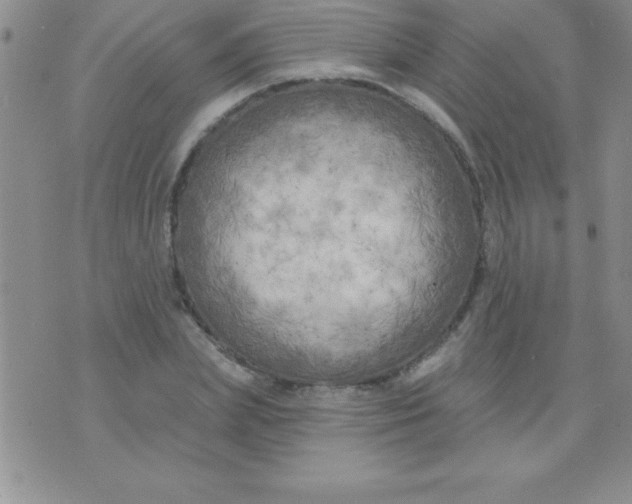 X0000071960831200607282031