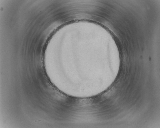 X0000071960832200607282031