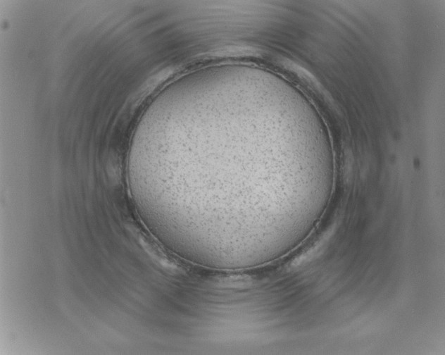 X0000071960833200607282031