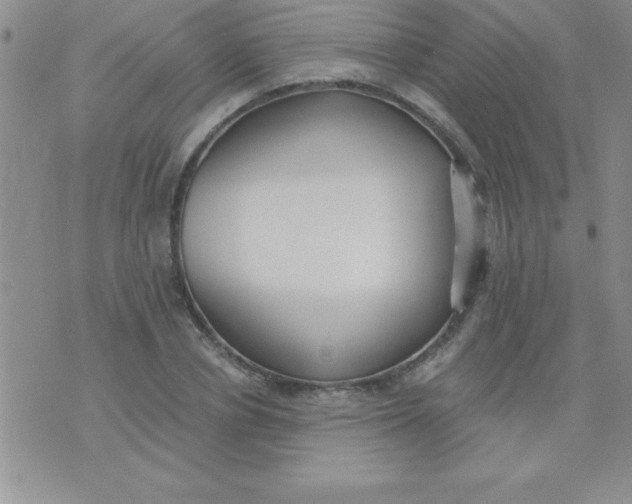 X0000071960834200607282031