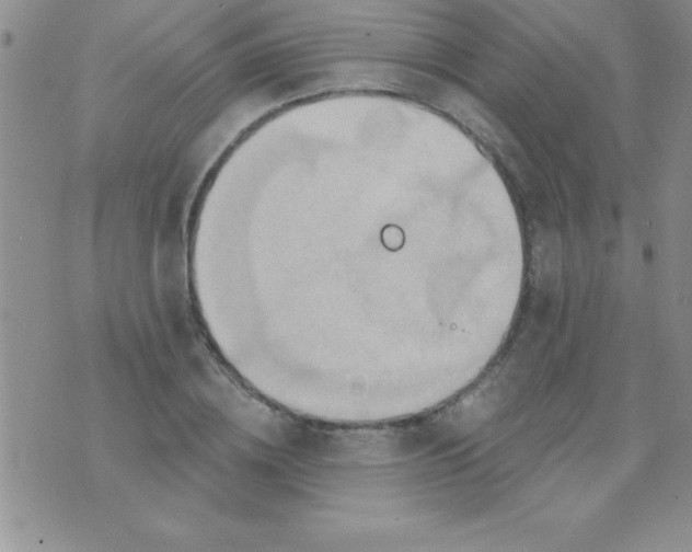 X0000071960836200607282031