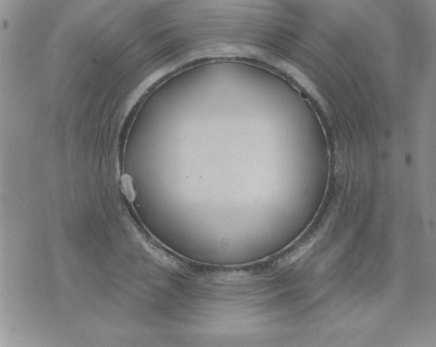 X0000071960837200607282031