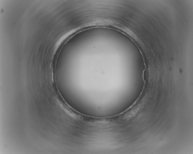 X0000071960838200607282031