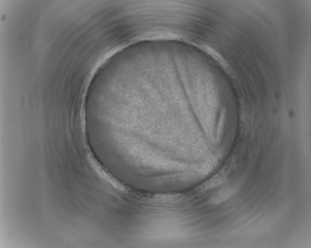 X0000071960840200607282031