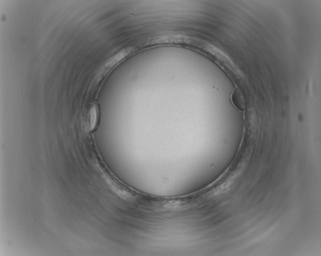 X0000071960841200607282031