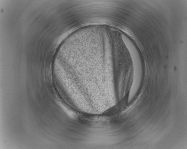 X0000071960842200607282031