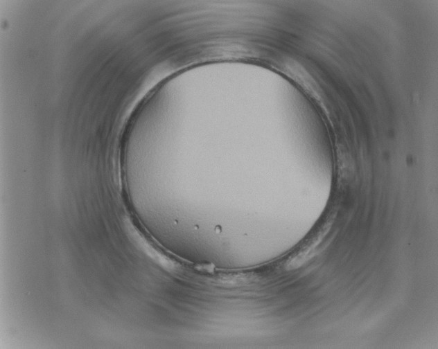 X0000071960843200607282031