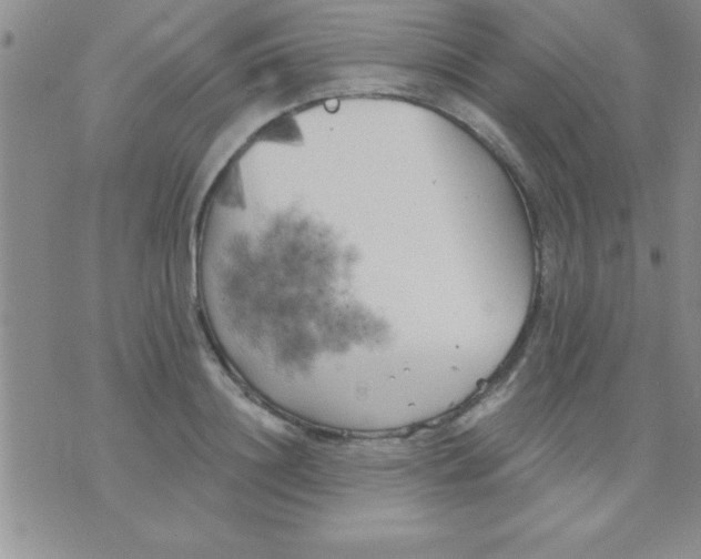 X0000071960844200607282031