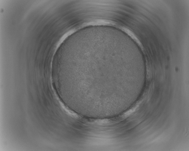 X0000071960845200607282031