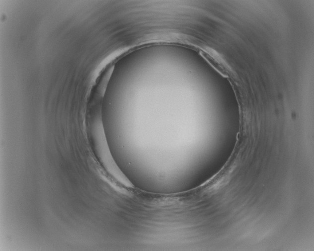 X0000071960846200607282031