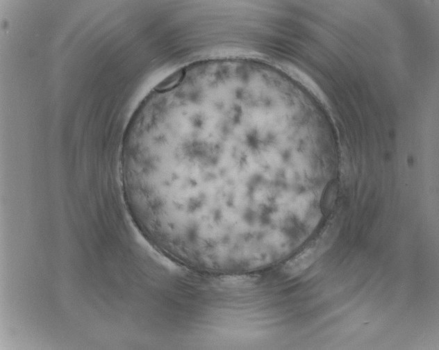 X0000071960847200607282031