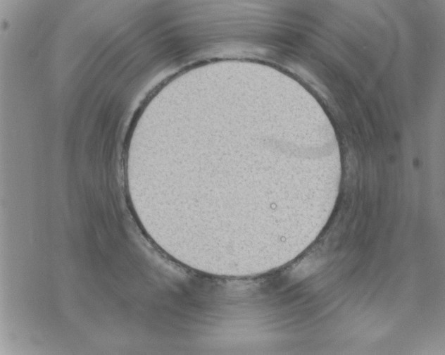 X0000071960848200607282031