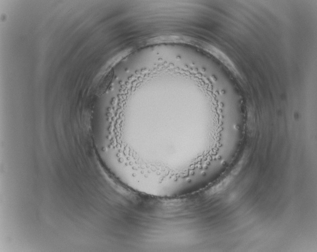 X0000071960849200607282031