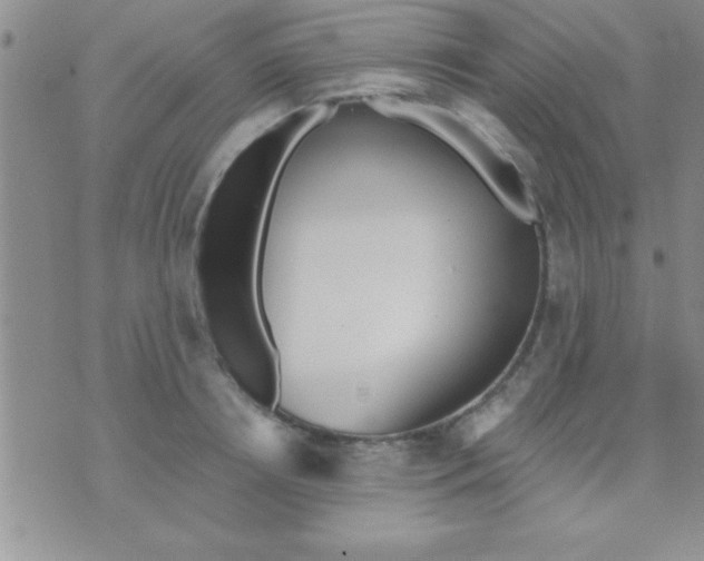 X0000071960850200607282031