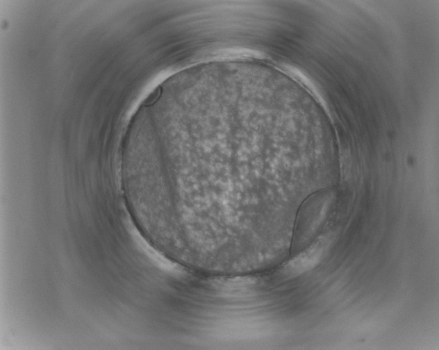 X0000071960851200607282031