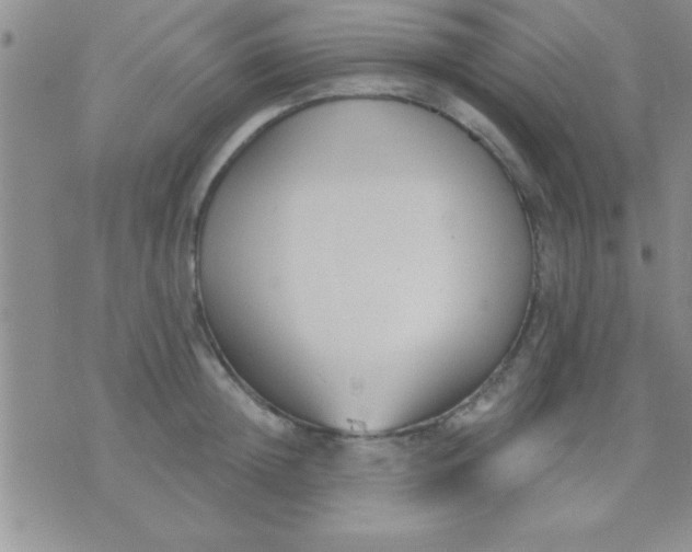 X0000071960852200607282031