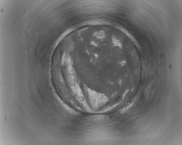 X0000071960853200607282031