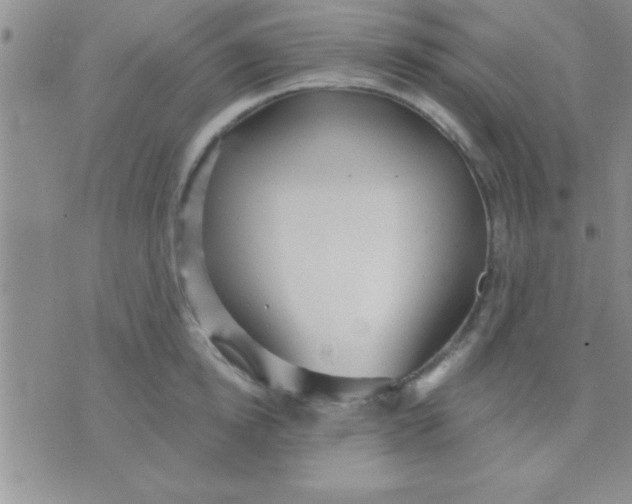 X0000071960854200607282031