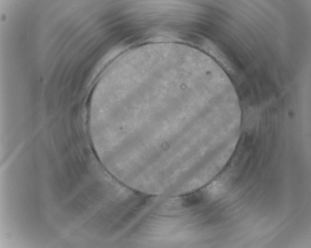 X0000071960856200607282031