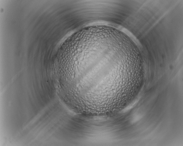 X0000071960857200607282031