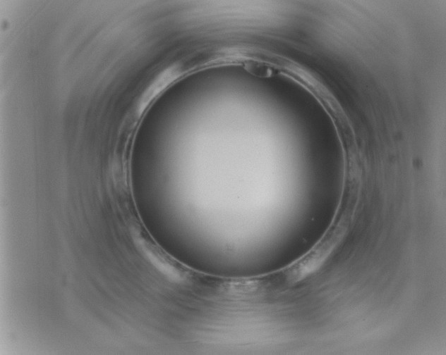 X0000071960858200607282031