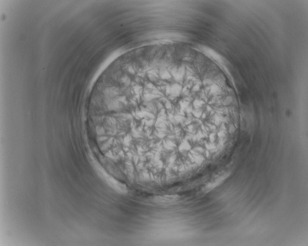 X0000071960859200607282031