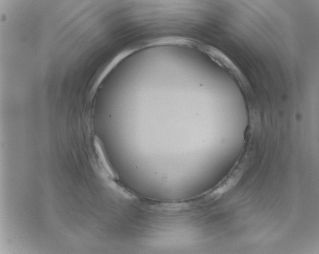 X0000071960860200607282031