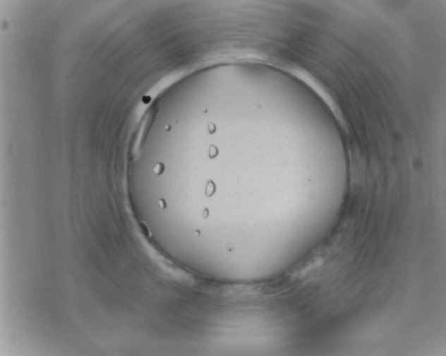 X0000071960861200607282031