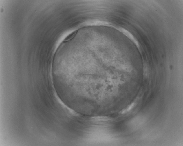 X0000071960863200607282031