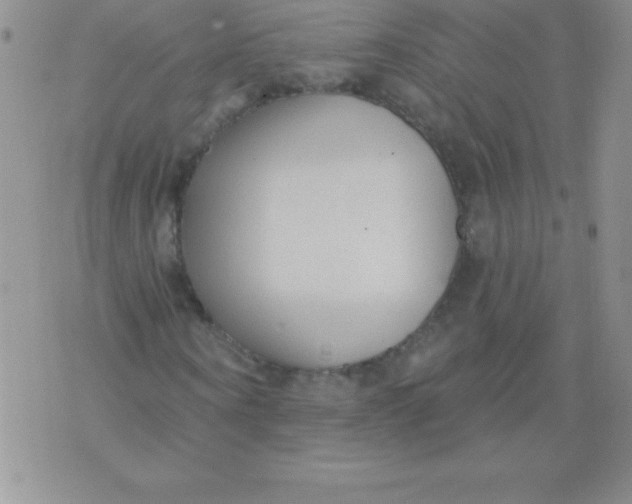 X0000071960866200607282031