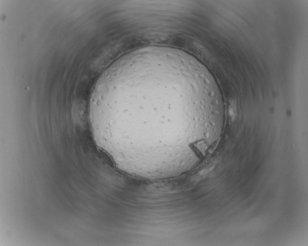 X0000071960867200607282031