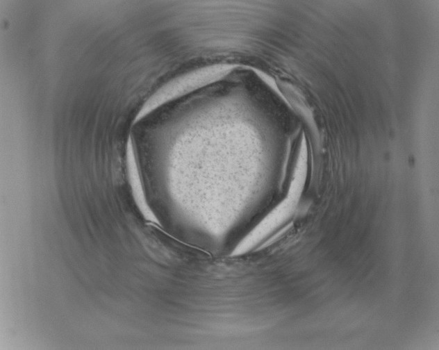 X0000071960868200607282031