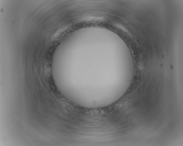 X0000071960869200607282031