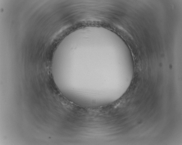 X0000071960870200607282031