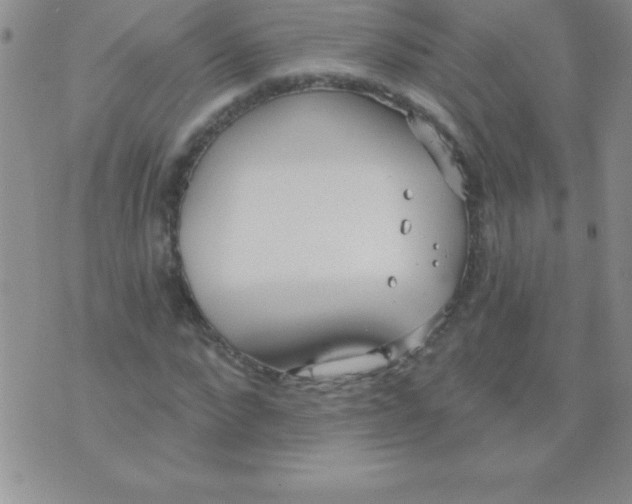 X0000071960872200607282031