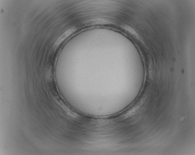 X0000071960873200607282031