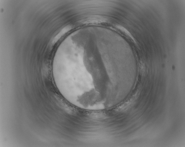 X0000071960874200607282031