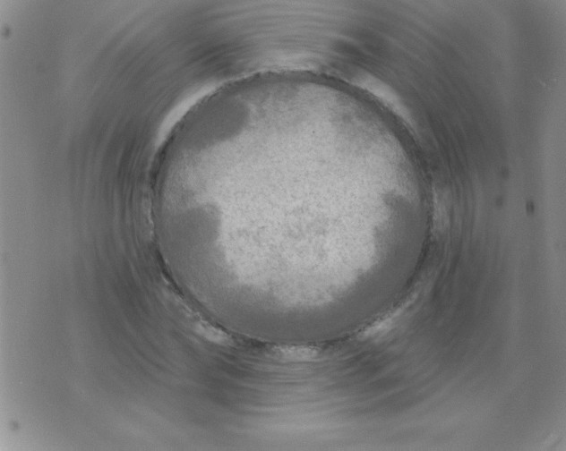 X0000071960878200607282030