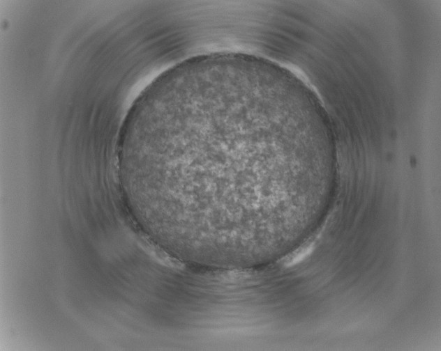 X0000071960879200607282030