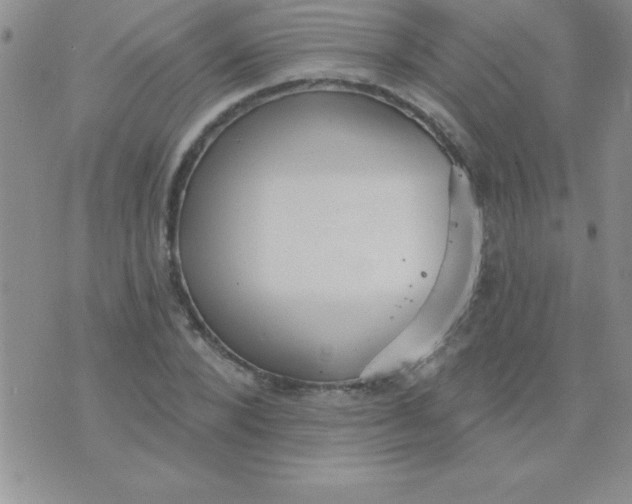 X0000071960880200607282030