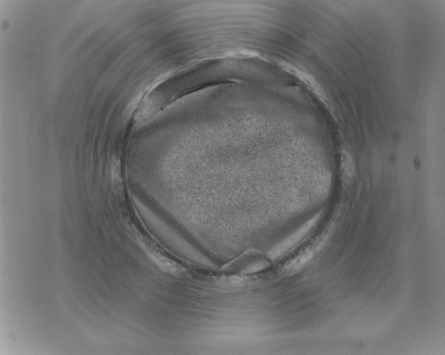 X0000071960881200607282030