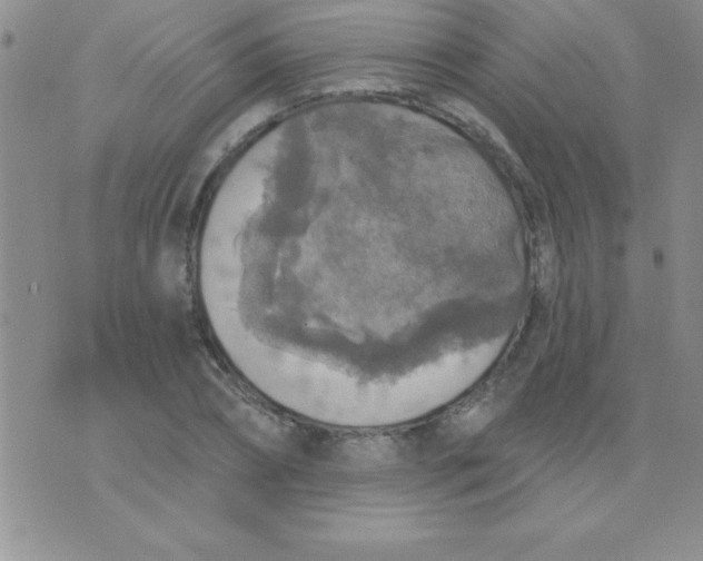 X0000071960882200607282030