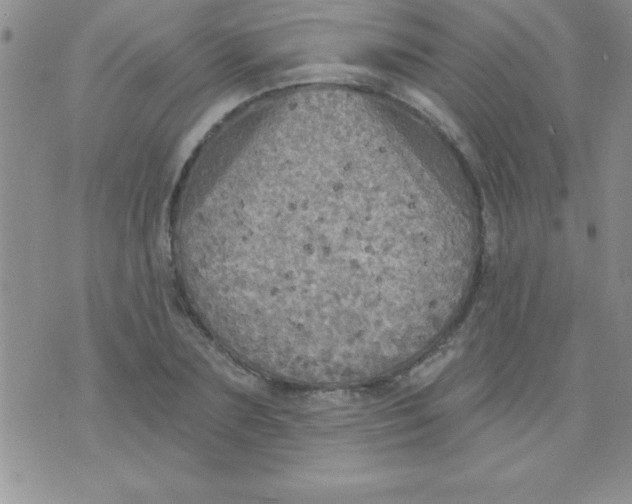 X0000071960883200607282030