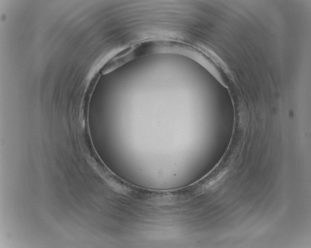 X0000071960885200607282030